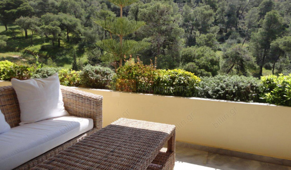 Εξωτερική όψη - Outdoor view